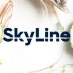 skyline